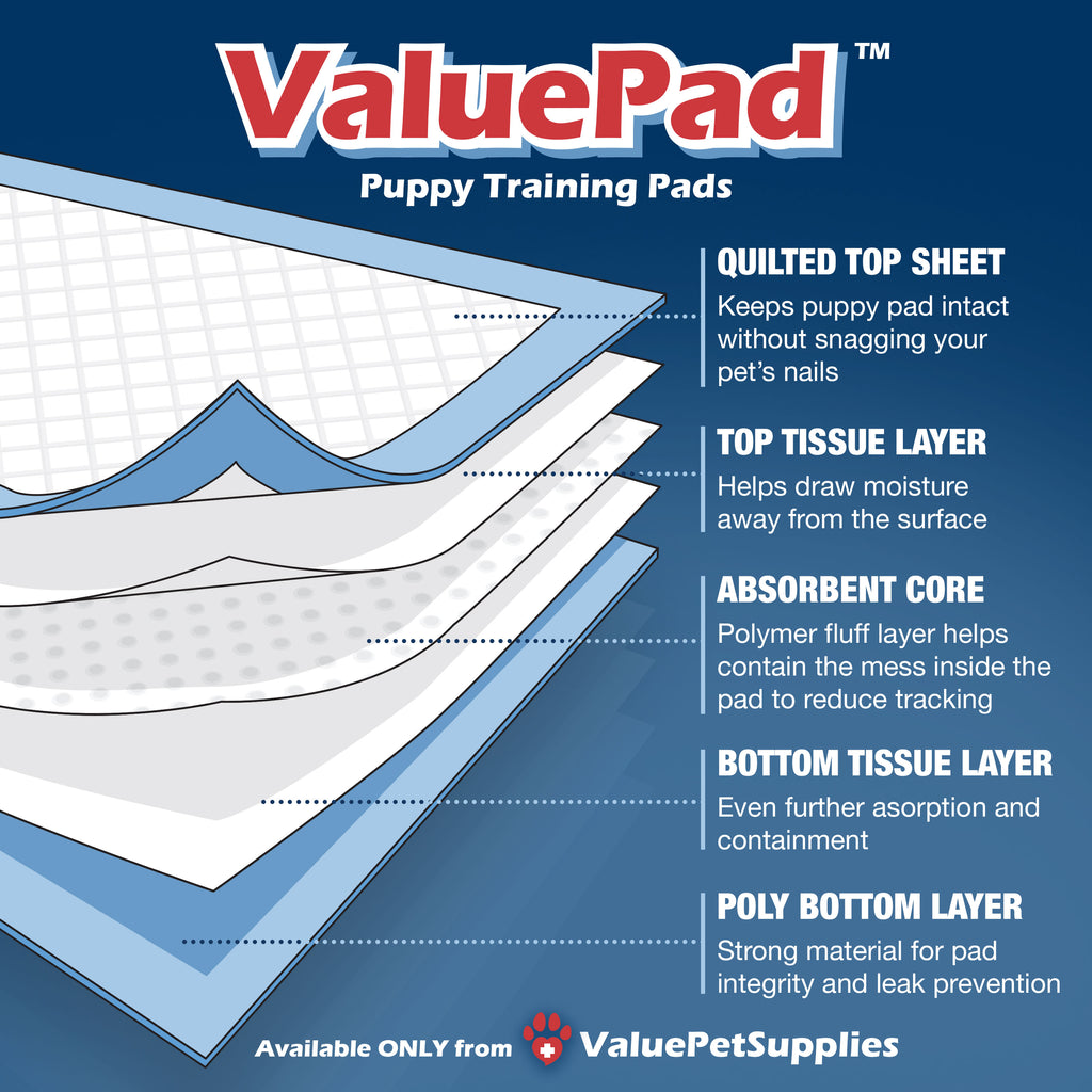 ValuePad Puppy Pads, Medium 23x24 Inch, Economy, 448 Count BULK PACK - Training Pads for Dogs, Leak Proof 5-Layer Design, Perfect for Puppies, Smaller Dogs 