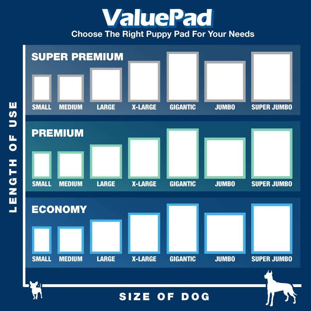 ValuePad Plus Puppy Pads, Small 17x24 Inch, 600 Count BULK PACK - Premium Pee Pads for Dogs, Tear Resistant, Super Absorbent Polymer Gel Core, 5-Layer Design 