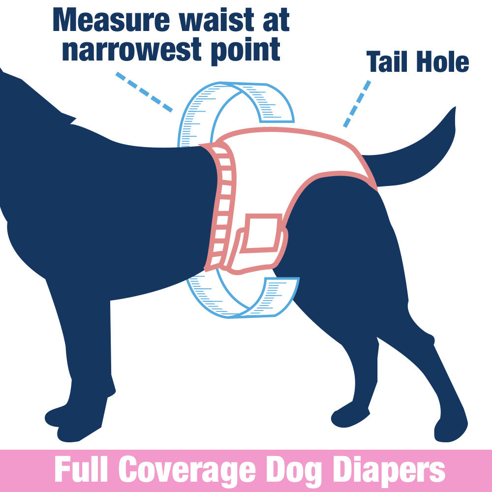 ValueFresh Female Dog Disposable Diapers, X-Small, 144 Count - Full Coverage w/Tail Hole, Snag-Free Fasteners, Leak Protection, Wetness Indicator 