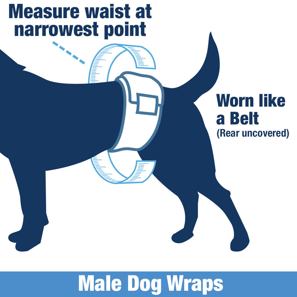 ValueWrap Male Wraps, Disposable Dog Diapers, 1-Tab Small, 144 Count - Snag-Free Fastener, Leak Protection, Wetness Indicator 