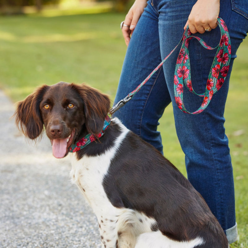 Orvis x Fishe Wear Clip Leash